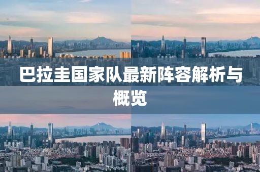 巴拉圭国家队最新阵容解析与概览