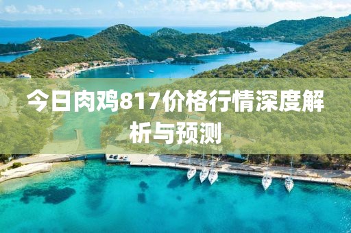 今日肉鸡817价格行情深度解析与预测