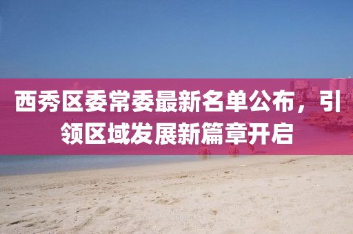 西秀区委常委最新名单公布，引领区域发展新篇章开启