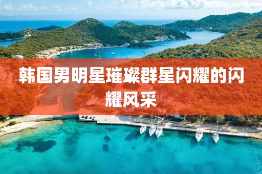 韩国男明星璀璨群星闪耀的闪耀风采