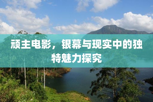顽主电影，银幕与现实中的独特魅力探究