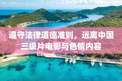 遵守法律道德准则，远离中国三级片电影与色情内容