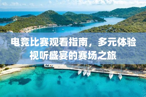 电竞比赛观看指南，多元体验视听盛宴的赛场之旅