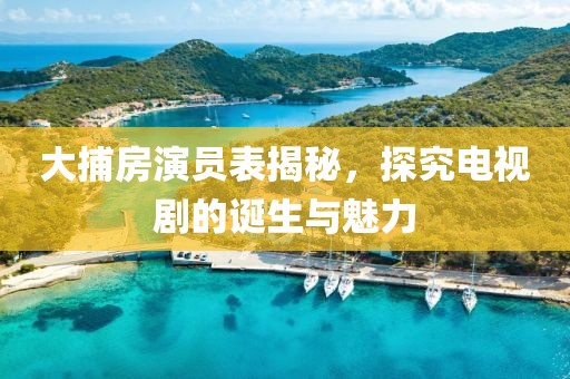 大捕房演员表揭秘，探究电视剧的诞生与魅力