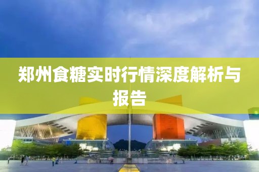 郑州食糖实时行情深度解析与报告