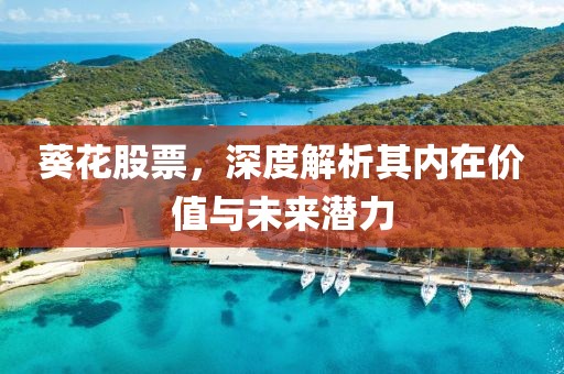 葵花股票，深度解析其内在价值与未来潜力