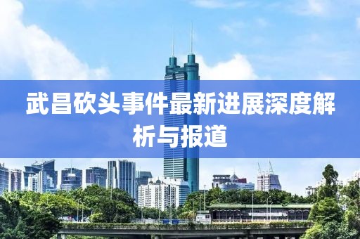 武昌砍头事件最新进展深度解析与报道