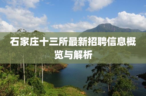 石家庄十三所最新招聘信息概览与解析