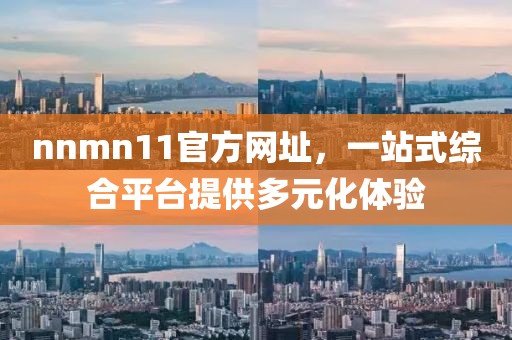 nnmn11官方网址，一站式综合平台提供多元化体验