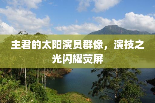 主君的太阳演员群像，演技之光闪耀荧屏