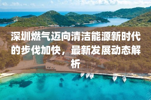 深圳燃气迈向清洁能源新时代的步伐加快，最新发展动态解析