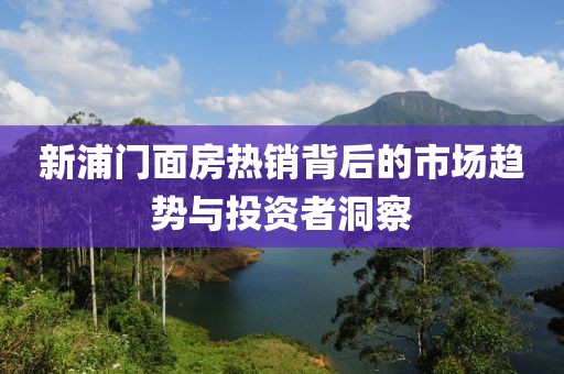 新浦门面房热销背后的市场趋势与投资者洞察