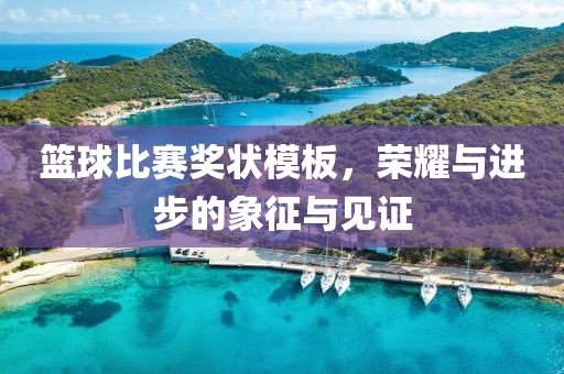 篮球比赛奖状模板，荣耀与进步的象征与见证