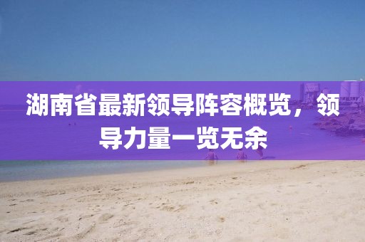湖南省最新领导阵容概览，领导力量一览无余