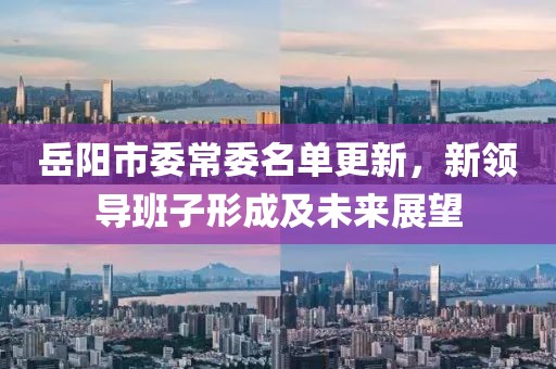 岳阳市委常委名单更新，新领导班子形成及未来展望