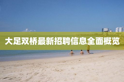 大足双桥最新招聘信息全面概览