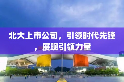 北大上市公司，引领时代先锋，展现引领力量