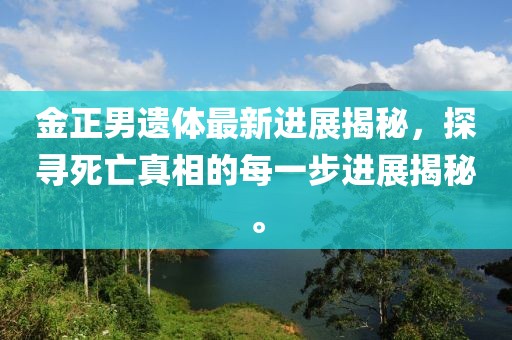 金正男遗体最新进展揭秘，探寻死亡真相的每一步进展揭秘。