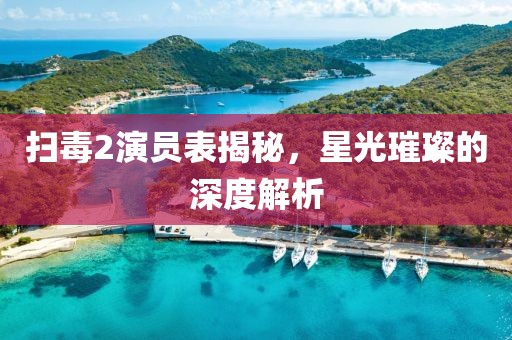 扫毒2演员表揭秘，星光璀璨的深度解析