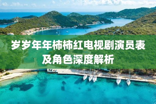 岁岁年年柿柿红电视剧演员表及角色深度解析