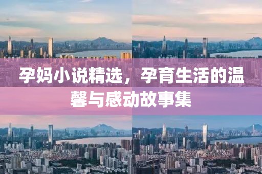 孕妈小说精选，孕育生活的温馨与感动故事集