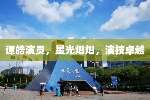 谭皓演员，星光熠熠，演技卓越