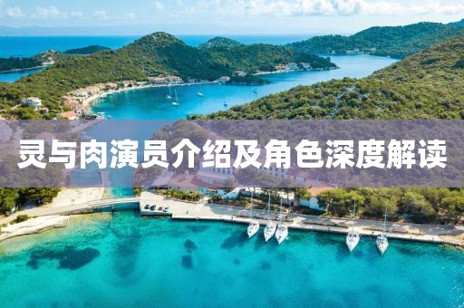 灵与肉演员介绍及角色深度解读