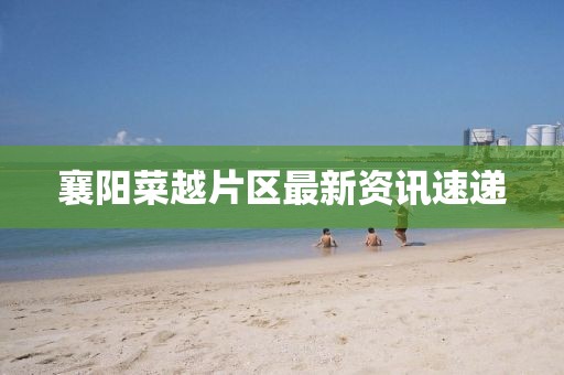 襄阳菜越片区最新资讯速递