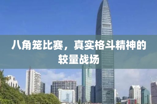 八角笼比赛，真实格斗精神的较量战场