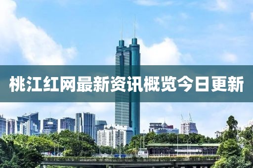 桃江红网最新资讯概览今日更新