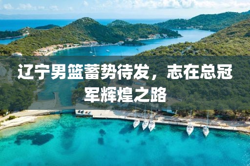 辽宁男篮蓄势待发，志在总冠军辉煌之路