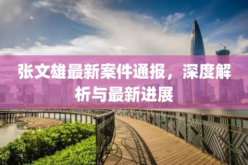 张文雄最新案件通报，深度解析与最新进展