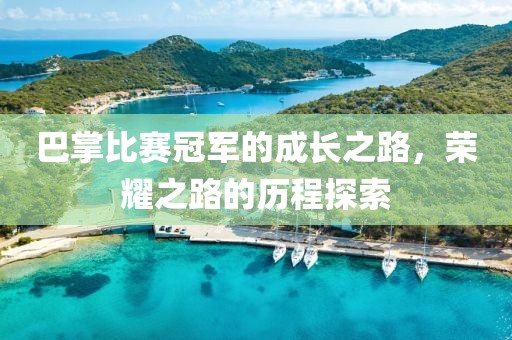 巴掌比赛冠军的成长之路，荣耀之路的历程探索