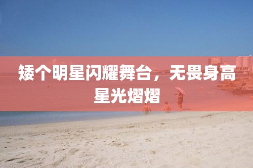 矮个明星闪耀舞台，无畏身高星光熠熠