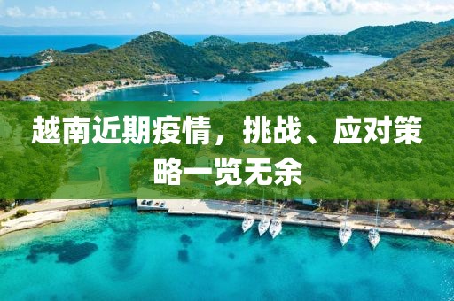 越南近期疫情，挑战、应对策略一览无余