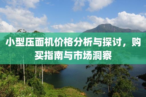 小型压面机价格分析与探讨，购买指南与市场洞察
