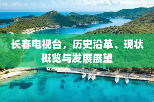 长春电视台，历史沿革、现状概览与发展展望