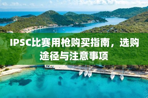 IPSC比赛用枪购买指南，选购途径与注意事项
