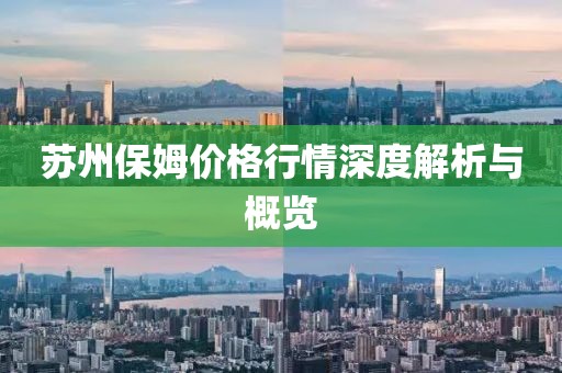 苏州保姆价格行情深度解析与概览