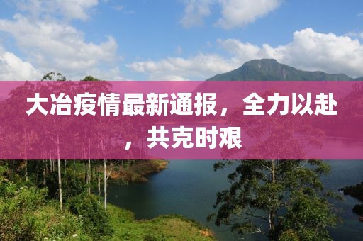 大冶疫情最新通报，全力以赴，共克时艰