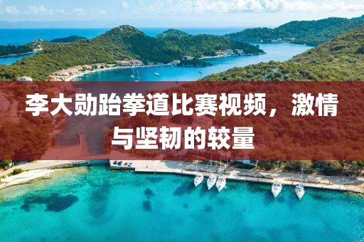 李大勋跆拳道比赛视频，激情与坚韧的较量