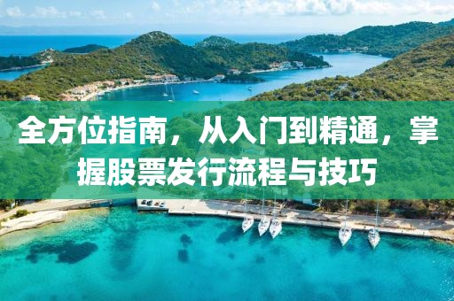 全方位指南，从入门到精通，掌握股票发行流程与技巧