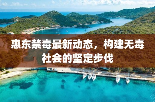 惠东禁毒最新动态，构建无毒社会的坚定步伐