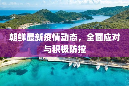 朝鲜最新疫情动态，全面应对与积极防控