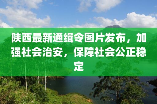 陕西最新通缉令图片发布，加强社会治安，保障社会公正稳定