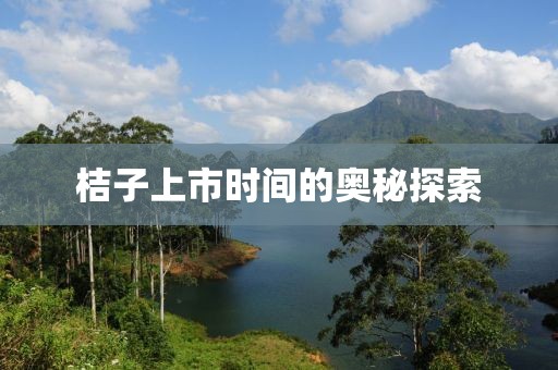 桔子上市时间的奥秘探索