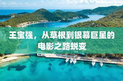 王宝强，从草根到银幕巨星的电影之路蜕变