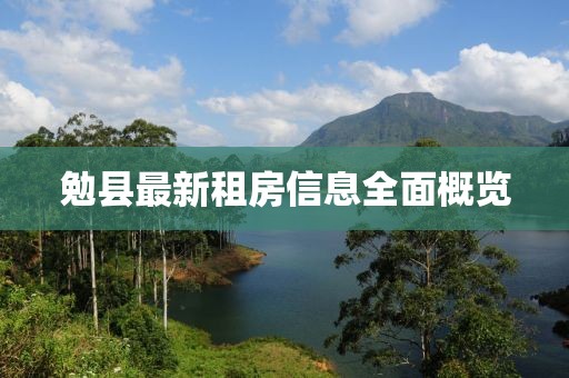 勉县最新租房信息全面概览