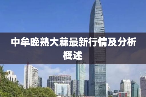 2025年2月 第53页
