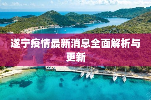 遂宁疫情最新消息全面解析与更新